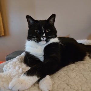 Fundraising Page: Samuel Dittmar